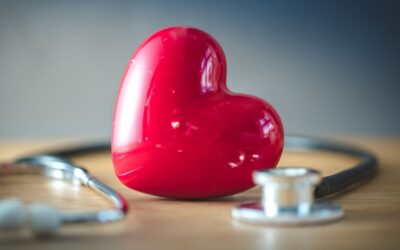 Les secrets bien gardés des guérisseurs de l’ombre : que pouvez-vous apprendre pour votre santé?